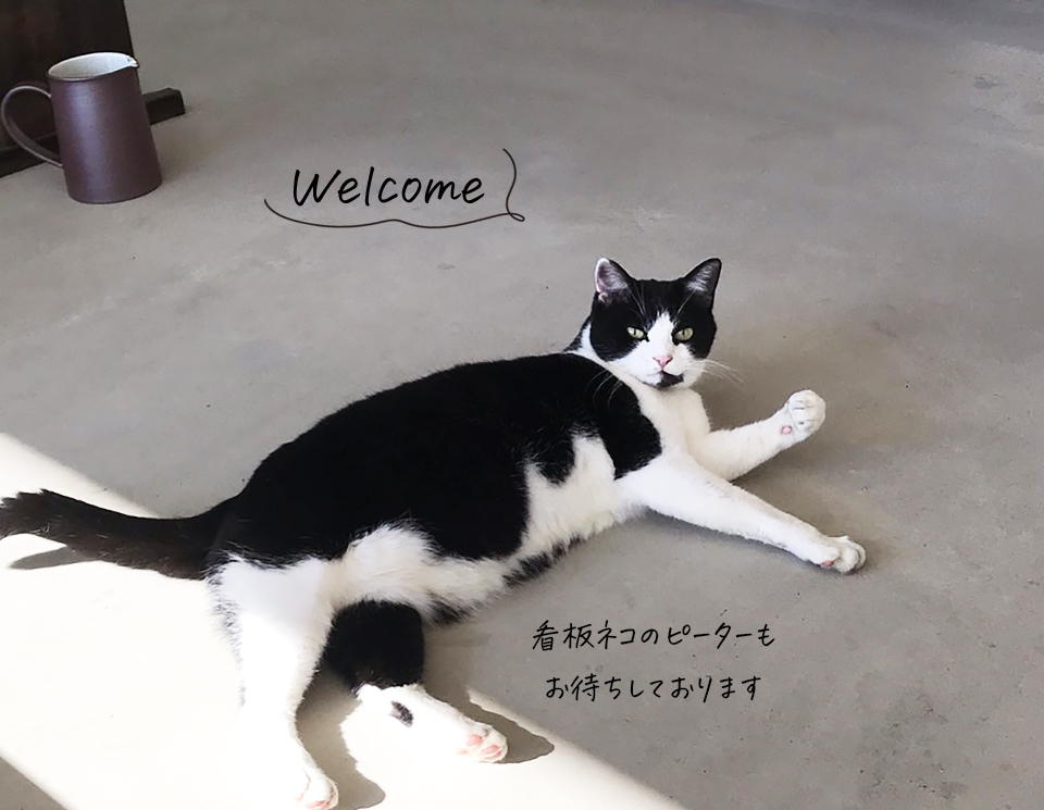 トップページメインビジュアル３SP